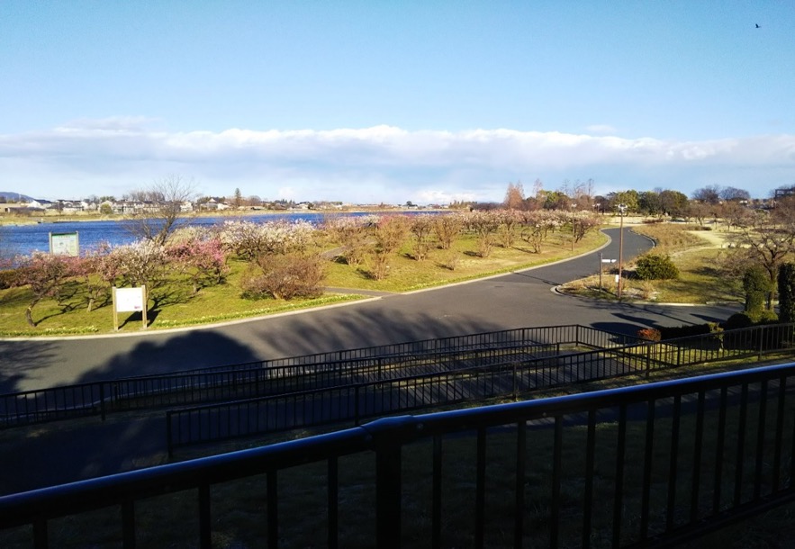 つつじが丘公園_よりもい