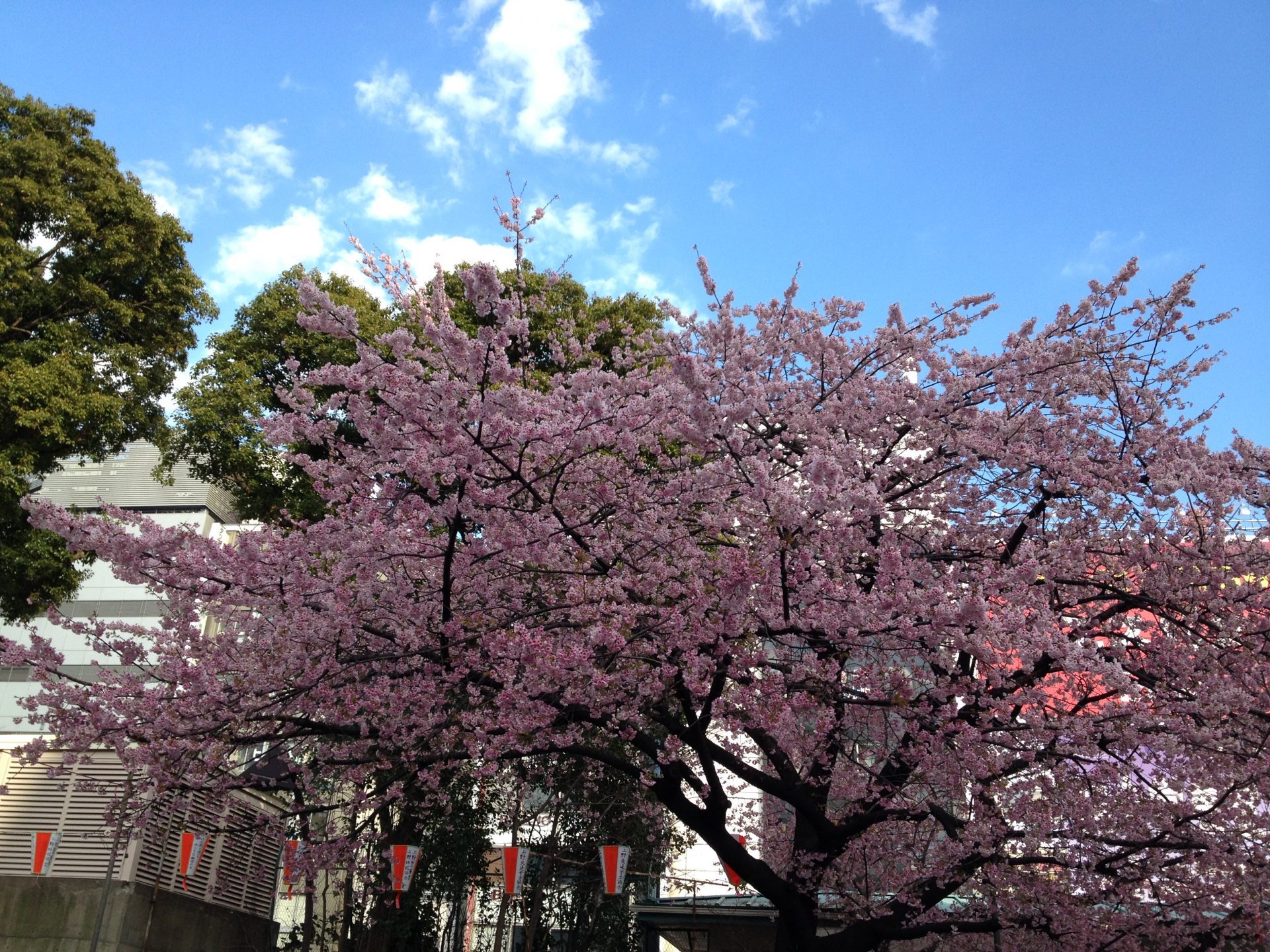 2017年3月編集後記_蒼井大地