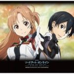 私は涙をボロボロ流しながら『劇場版SAO』を『たまこラブストーリー』や『心が叫びたがってるんだ。』と一緒の棚に入れる