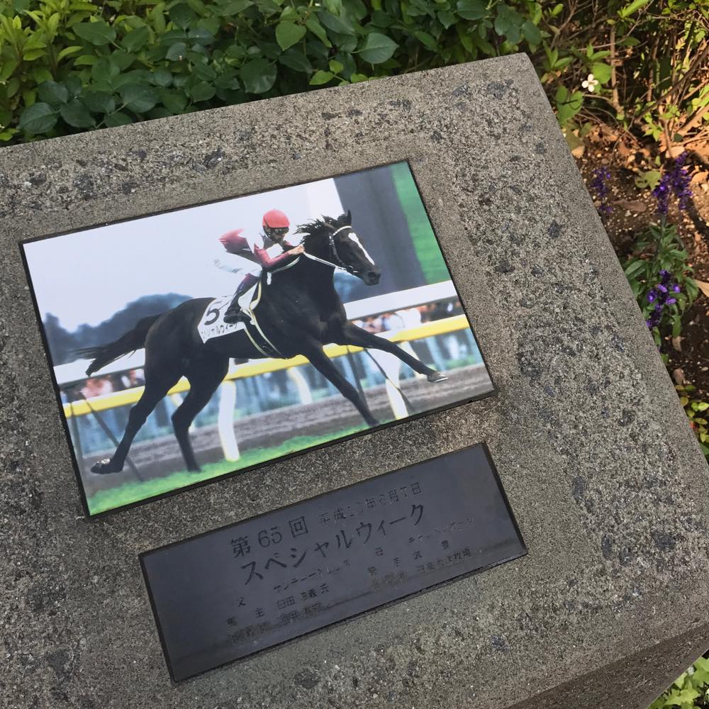 三井ハチ_2018年6月編集後記