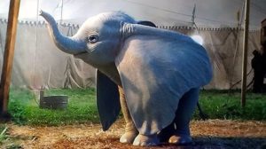 dumbo