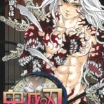 画像引用元：Amazon.co.jpより　『「鬼滅の刃」第22巻（出版社：集英社）』