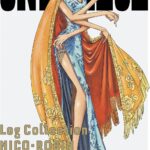 画像引用元：Amazon.co.jpより　『DVD「ONE PIECE Log Collection “NICO・ROBIN”」（販売元：エイベックス・ピクチャーズ）』