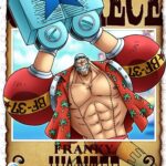 画像引用元：Amazon.co.jpより　『DVD「ONE PIECE ワンピース 15thシーズン 魚人島編 piece.12」（販売元：エイベックス・ピクチャーズ）』