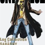 画像引用元：Amazon.co.jpより　『DVD「ONE PIECE Log Collection “SABAODY"」（販売元：エイベックス・ピクチャーズ）』
