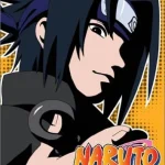 画像引用元：Amazon.co.jpより　『DVD「NARUTO -ナルト- 3rd STAGE 2005」巻ノ二（販売元：アニプレックス）』