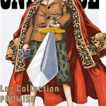 画像引用元：Amazon.co.jpより　『DVD「ONE PIECE Log Collection “PROMISE"(初回限定版)」（販売元：エイベックス・ピクチャーズ）』