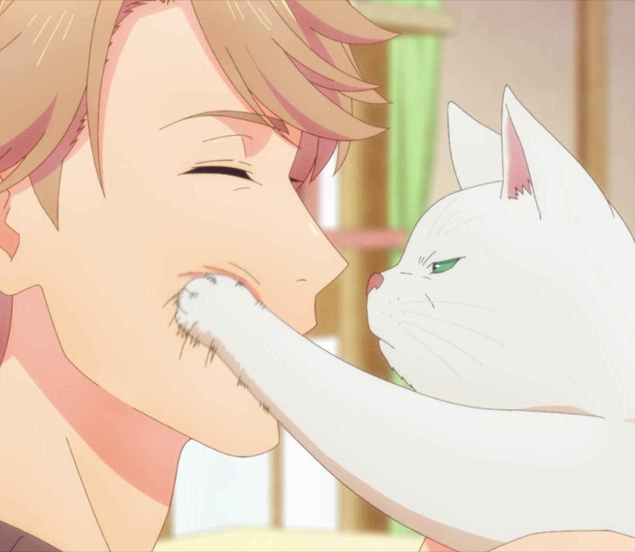 社宅で合宿⽣活を始めるメンバー達だったが…TVアニメ『永久少年 Eternal Boys』第2話あらすじと先行カットが到着！