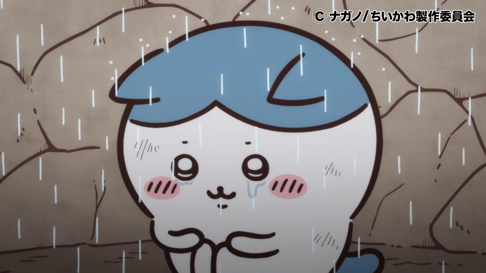 「あの名言」登場でファンも涙が止まらない？TVアニメ「ちいかわ」第31話ハチワレの健気さにキュン！【最新話レビュー】