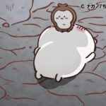 ©ナガノ/ちいかわ製作委員会