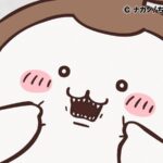 ©ナガノ/ちいかわ製作委員会