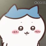 ©ナガノ/ちいかわ製作委員会