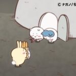 ©ナガノ/ちいかわ製作委員会