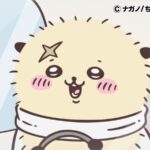 ©ナガノ/ちいかわ製作委員会