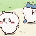©ナガノ/ちいかわ製作委員会
