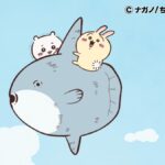 ©ナガノ/ちいかわ製作委員会