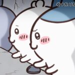 ©ナガノ/ちいかわ製作委員会