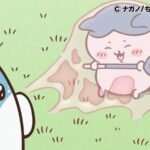 ©ナガノ/ちいかわ製作委員会
