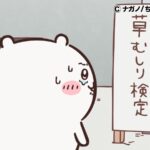 ©ナガノ/ちいかわ製作委員会