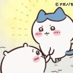 ©ナガノ/ちいかわ製作委員会