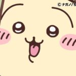 ©ナガノ/ちいかわ製作委員会