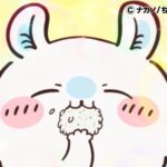 ©ナガノ/ちいかわ製作委員会
