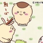 ©ナガノ/ちいかわ製作委員会