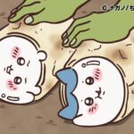 ©ナガノ/ちいかわ製作委員会
