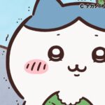 ©ナガノ/ちいかわ製作委員会