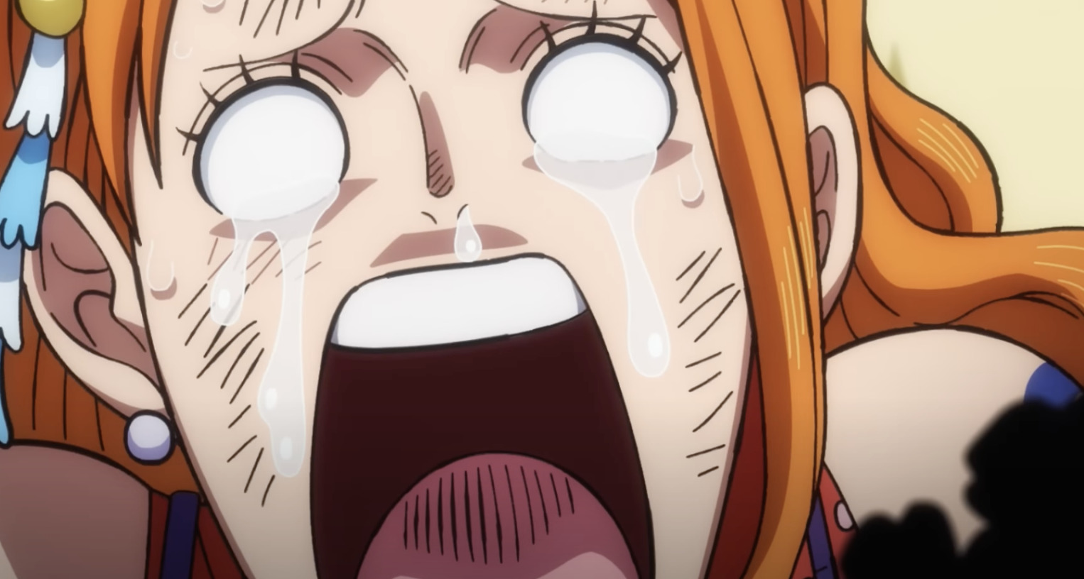 “あの大物"が大活躍したTVアニメ『ワンピース』第1031話！ページワンを倒したのはナミでもウソップでもない!?【最新話レビュー】