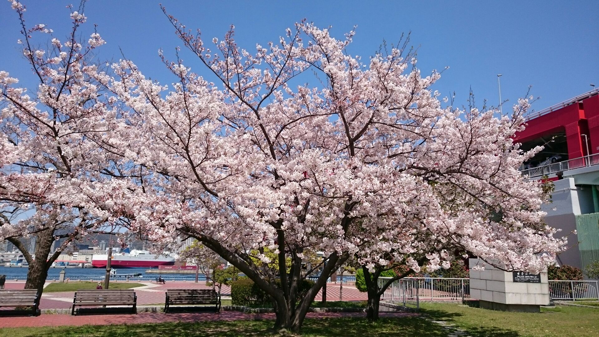 おみくじ_2019年4月編集後記