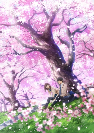 君の膵臓をたべたい　DVD　ブルーレイ