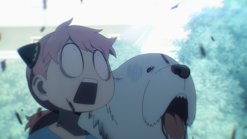 「アーニャの母」はヨルとフィオナのどっち!? TVアニメ『スパイファミリー』第23話“日向の貴婦人”の秘密が明らかに！【最新話レビュー】