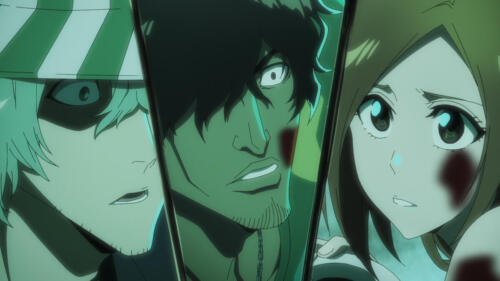 BLS05 049 t2 F044.mov