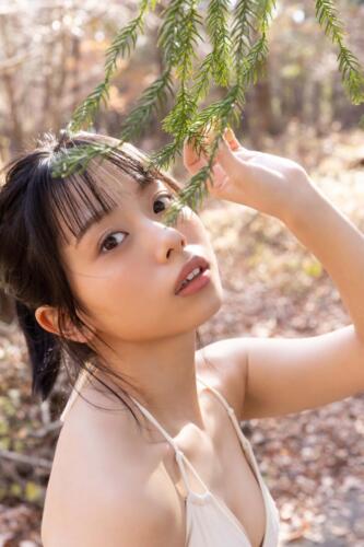 3c1b3d245f5902209aba690204341bc0