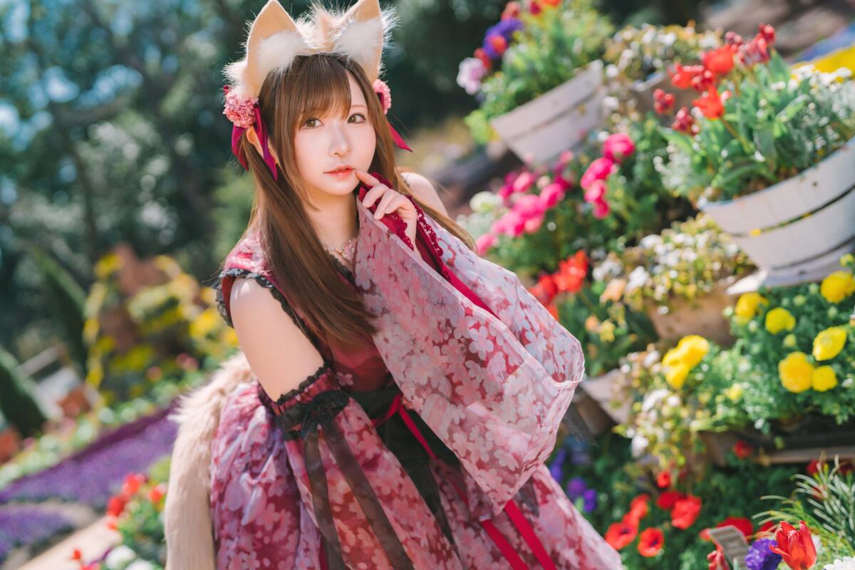 srDSC07148