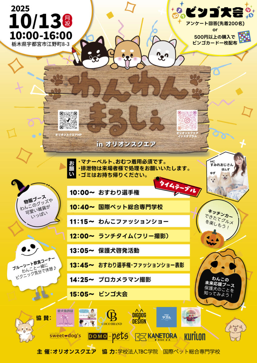 62e4a53996cbdf4c18d8df5ba211a8d6